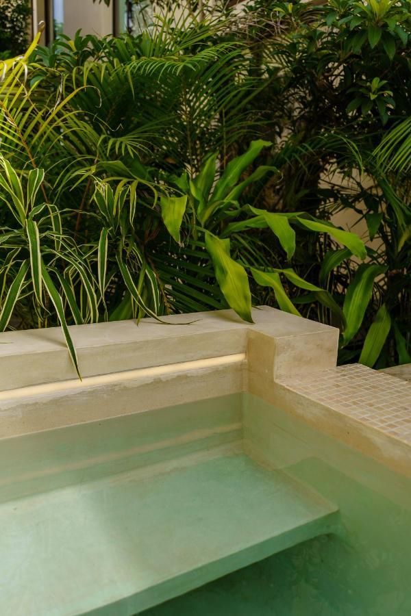 205 Perfect Location 3 Bedrooms Apartment Tulum Eksteriør billede